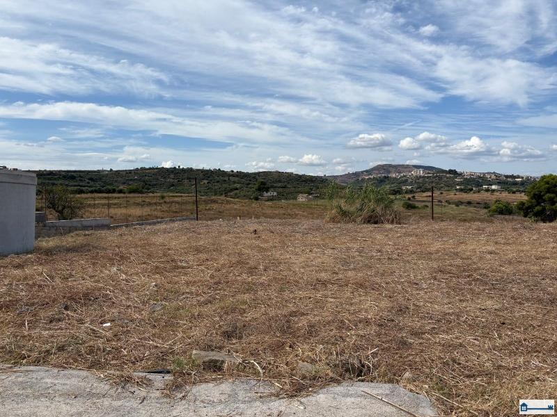 PHOTO-2025-08-20-18-38-07 (5).jpg